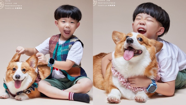 毛小孩的證件照！2020「寵物寫真工作室」推薦，一起幫毛小孩捕捉可愛模樣吧！