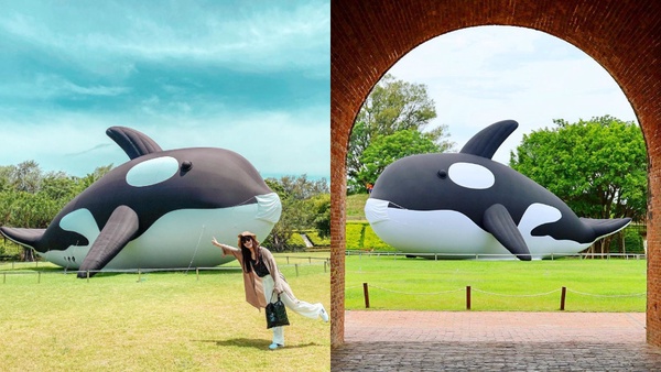 超大鯨魚登陸台南！世界最大鯨魚裝置藝術「虎鯨Orca」7/15期間限定療癒亮相