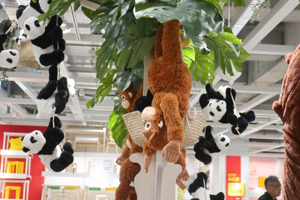 全台最大IKEA！「IKEA 桃園青埔店」近高鐵＋超Q鯊魚打卡點，9千多坪讓你逛到腳軟