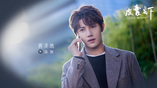 即將上檔的甜寵(愛情)陸劇6:鄭合惠子、黃聖池《皮囊之下》