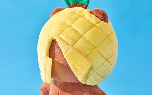 Line Friends「夏季水果系列」上市！熊大與莎莉變身超萌鳳梨，陪你清爽過一夏！