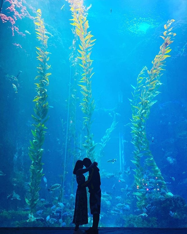 2020 全台5大「夜宿活動」推薦！水族館露營、動物園夜間探險，博物館實境解謎暑假必衝
