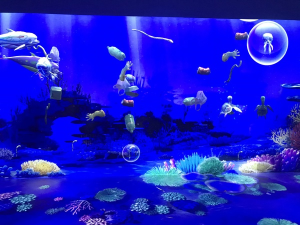 Xpark 引進國王與麥哲倫兩種企鵝,規劃出全球首個連結企鵝跟遊客的空間