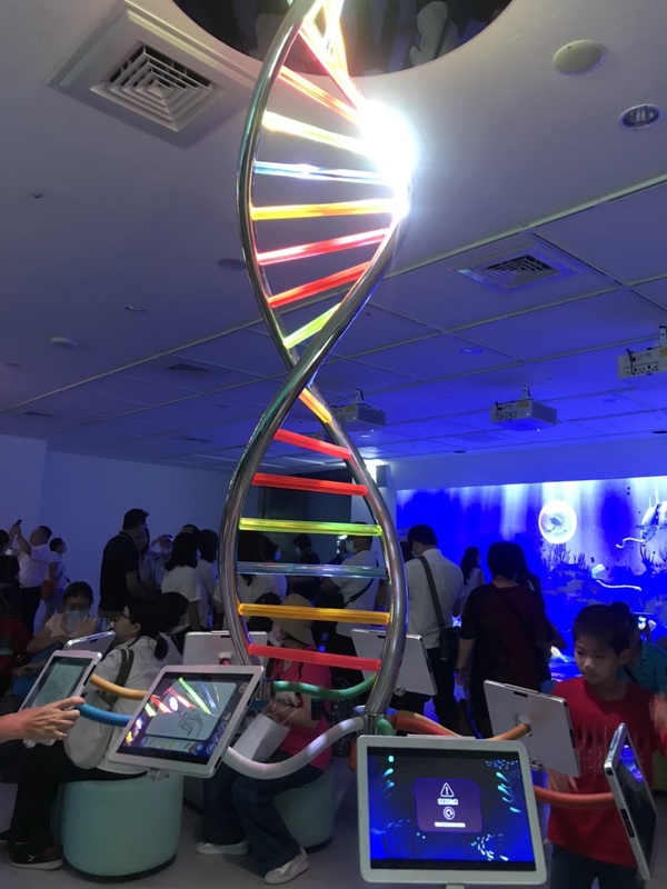 日本人氣水族館「Xpark」8/7正式開幕,海豹、企鵝、企鵝咖啡館,全館亮點帶你搶先看!