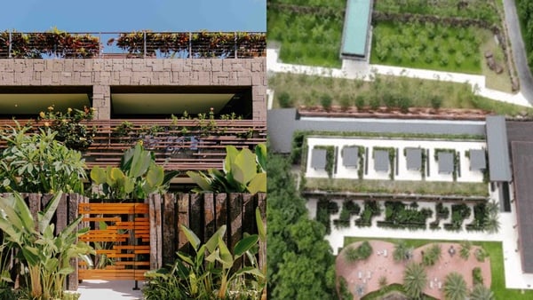 南投最難訂住宿「The Bal'e Villas 牛眠 埔里」,雲霧森林+無邊際泳池彷若天堂