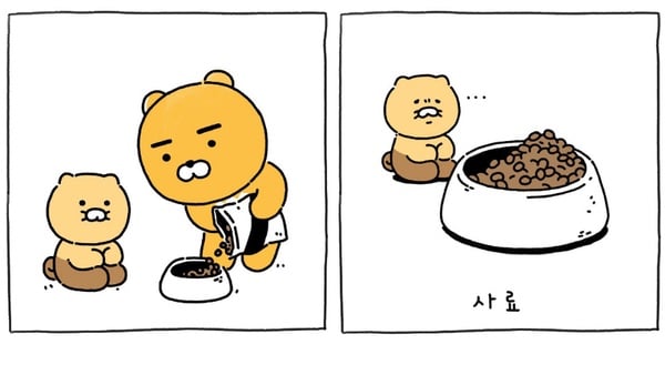 萊恩有新寵物了！KAKAO FRIENDS新角色「萊恩貓」，表情呆萌卻超有個性～
