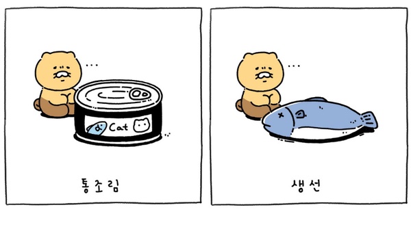 萊恩有新寵物了！KAKAO FRIENDS新角色「萊恩貓」，表情呆萌卻超有個性～