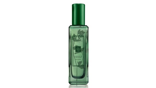 LOEWE「香菜香氛」超狂登場，完整呈現自然香菜味！加碼精品「香菜香水清單」推薦～
