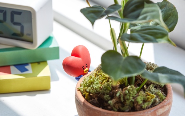 最萌植物玩具！BT21居家小植栽登場，在家就能輕鬆種出草莓、波斯菊，BT21還能變杯緣子