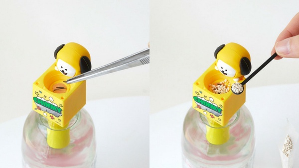 最萌植物玩具！BT21居家小植栽登場，在家就能輕鬆種出草莓、波斯菊，BT21還能變杯緣子