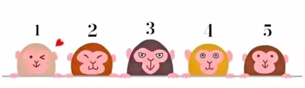 日本爆紅「動物心理測驗」!直覺選一隻喜歡的動物,測你潛意識中的真實個性
