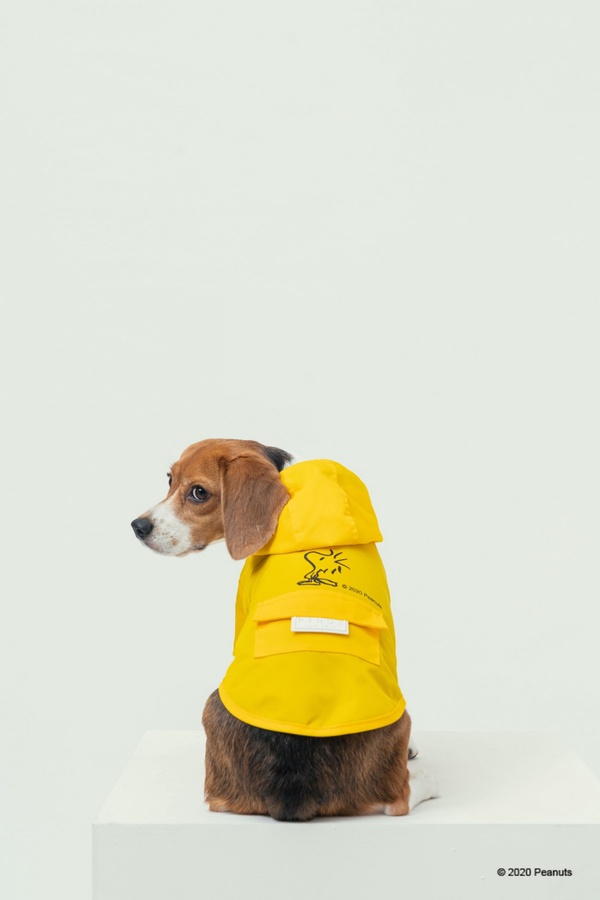 SNOOPY大頭包超萌！Pinkoi x SNOOPY「輕熟大人系」數十款雜貨周邊，即日起加碼7折優惠