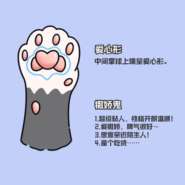 下滑至內文看更多