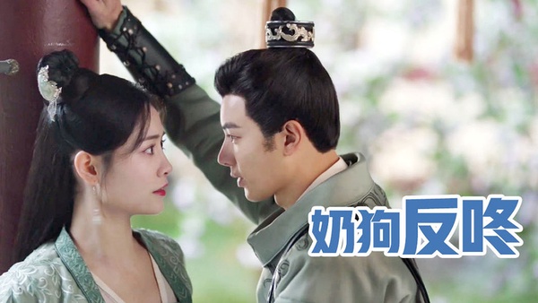 近期陸劇熱度榜TOP 2:鞠婧禕、張哲瀚《如意芳霏》
