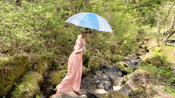 日本超夢幻「泡泡紙雨傘」引爆話題！粉嫩花朵配色、療癒滴答聲，下雨天再也不煩躁～