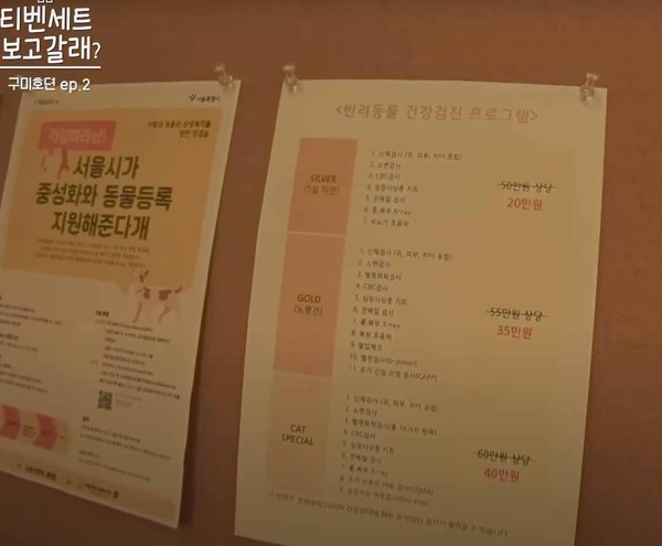 《九尾狐傳》佈景彩蛋解密1:申炷的獸醫院