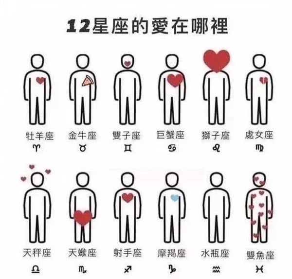 一張圖看出12星座的愛在哪！射手端水大師，水瓶誰也不愛