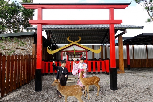 宜蘭新景點「張美阿嬤農場」,快來看呆萌水豚君泡湯!