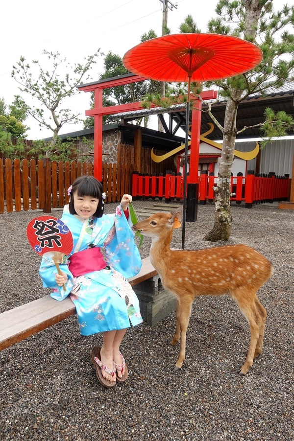 宜蘭新景點「張美阿嬤農場」,快來看呆萌水豚君泡湯!