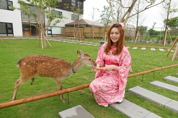 宜蘭新景點「張美阿嬤農場」,快來看呆萌水豚君泡湯!