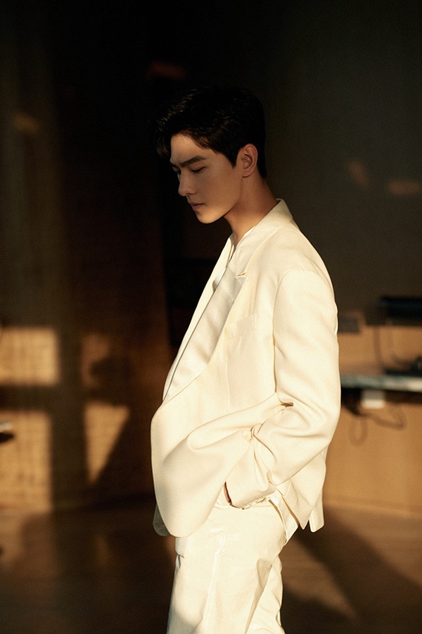 2020星光大賞紅毯10男星:楊洋