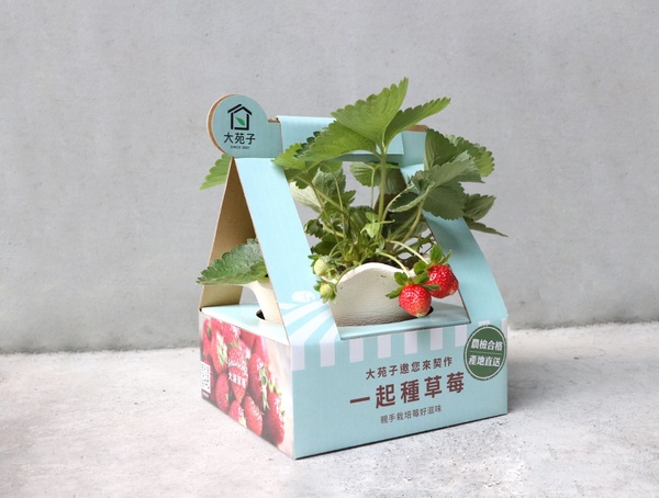 草莓盛產，市府夢想店推出多款草莓鮮果冰品，每一口都是驚喜！