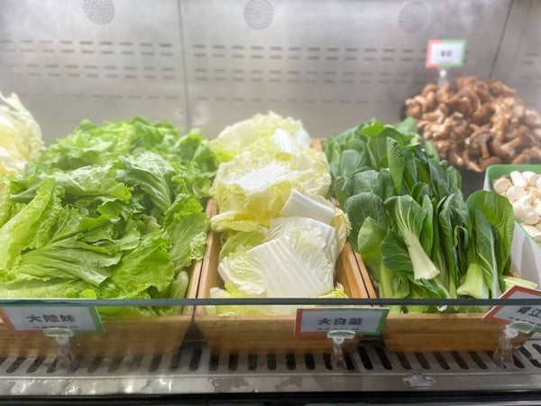 CP值超高火鍋店推薦！到「肉多多」爽吃肉片、鮮美海鮮，加碼「蔬食自助吧」任你吃過癮