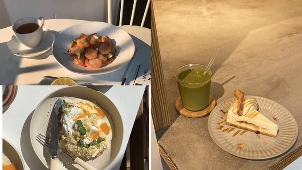 濃濃高級感！5種簡單好上手「IG美食拍照技巧」分享，學起來讚數直線飆升~