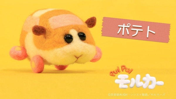 《天竺鼠車車》號稱「大人的毒品」超療癒!動畫5隻鼠鼠都有人設,還隱藏導演客串彩蛋