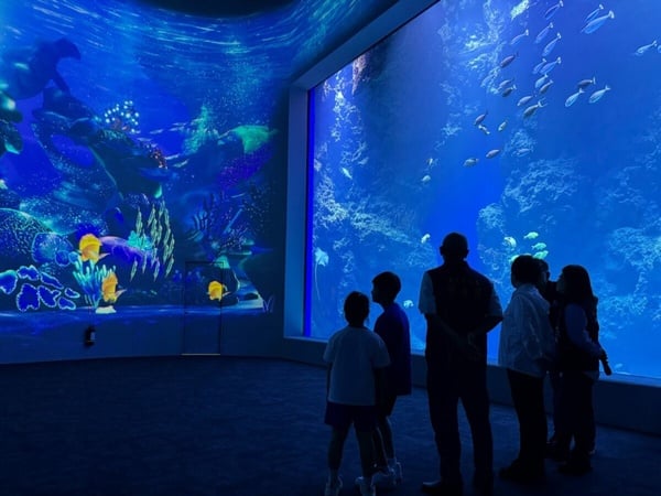 「台中海生館」2023上半年開幕，10米大魚缸超吸睛