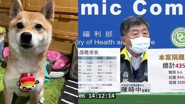 2021年夜飯大合輯！宋芸樺3張桌子放不下，陳時中：「一定在家吃年夜飯」