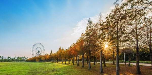 台中麗寶樂園「熱氣球夢想節」登場！乘坐熱氣球升空飽覽中部美景，限時九天絕不能錯過