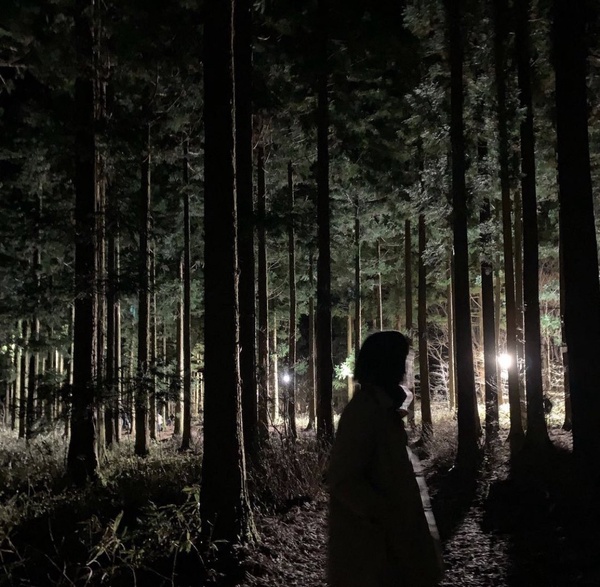 《Voice4》來了！第四季故事移往濟州島，宋承憲、李荷娜聯手追捕「四重人格殺人魔」