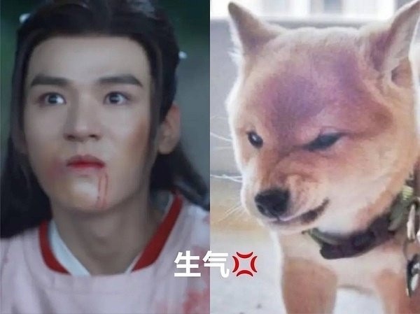 被叫「狗勾」是男星要紅的徵兆？5位爆紅犬系男星，龔俊&張哲瀚萌翻，林更新根本沙雕王