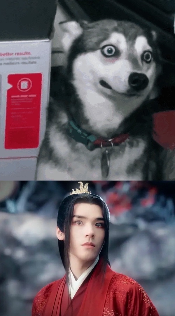 被叫「狗勾」是男星要紅的徵兆？5位爆紅犬系男星，龔俊&張哲瀚萌翻，林更新根本沙雕王