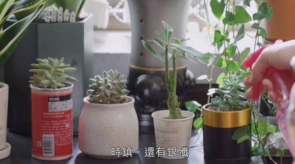 《黑道律師文森佐》讚嘆台灣防疫？7個彩蛋細節，宋仲基扮女林公子、「該隱亞伯」藏劇情暗示？