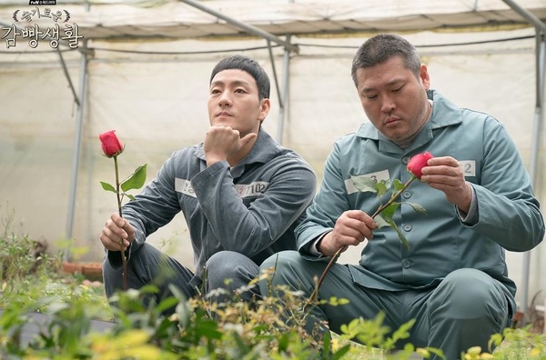 不輸《黑道律師文森佐》的幽默喜劇推薦！《金科長》口碑力壓同期《藍海》，這部是當之無愧神劇