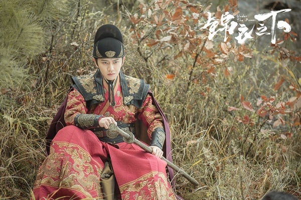 網評「演技精湛的非科班出身」陸劇男星1：任嘉倫 運動員轉型演員