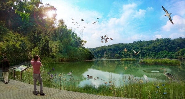 高雄要有新動物園啦！高雄「內門動物園」四大園區，零距離接觸動物、還能體驗飛越叢林