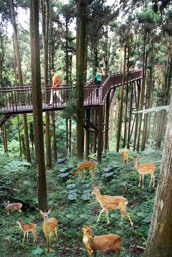 高雄要有新動物園啦！高雄「內門動物園」四大園區，零距離接觸動物、還能體驗飛越叢林
