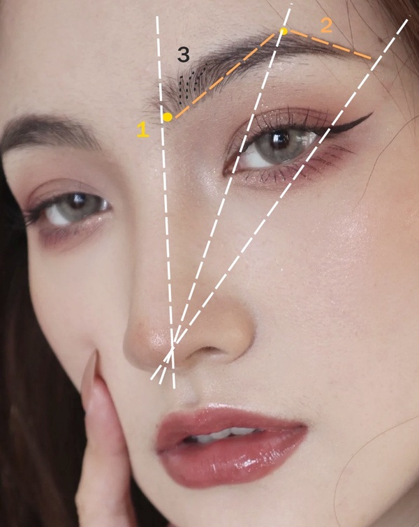 這些女星換眉型就爆紅！彩妝師公開新手4種「萬能眉型公式」，不同臉型適合眉型分析