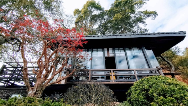 隱身竹林的禪風秘境！台中日式料亭「飛花落院」正式開幕，一探最美日落、無菜單美食