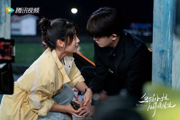 近期陸劇熱度榜TOP 5：任嘉倫、邢菲《烏鴉小姐與蜥蜴先生》
