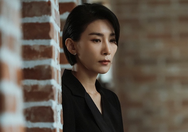 Netflix韓劇《我的上流世界》4大看點！《天空之城》金瑞亨搭檔李寶英上演狗血題材！