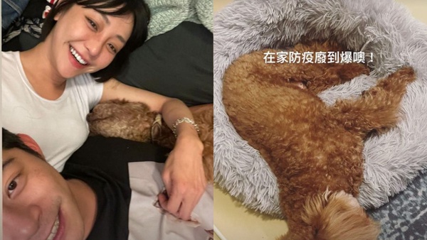 明星宅家防疫日常！賈靜雯幫修杰楷剃頭又放閃，陳庭妮拍《火神的眼淚》感慨醫護太辛苦