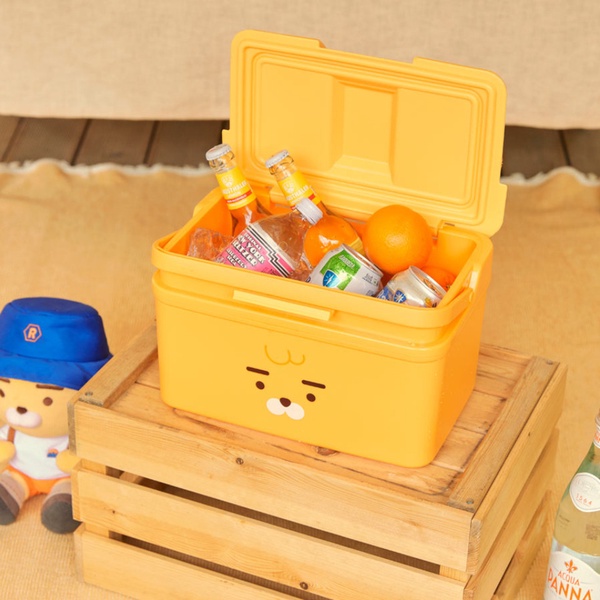 KakaoFriends「萊恩陪你露營系列」全新登場!野餐墊、保冷箱可愛又實用