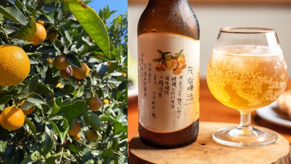 5家「綠色餐廳」推薦！現在還有食材包與餐盒可外帶或宅配，在家一起支持小農吧