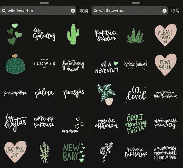 IG 限時動態/GIF關鍵字16：wildflowerbar