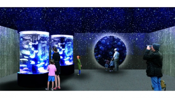 北北基首座水族館！基隆「潮境智能海洋館」6/1正式開幕，附設VR、AR體驗海底冒險