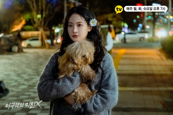 韓網推爆的小眾韓劇！《不瘋不狂不愛你》登韓國Netflix冠軍，這部收視高到韓網嚇一跳